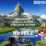 AK-EW-018SotaEdelweiss