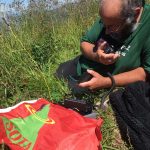 c02ba396-dcee-4534-9f3f-eabd50f4062e