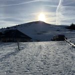 image-20230219-113527112