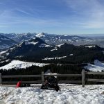 image-20230219-11352713